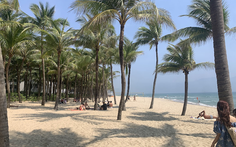 Bãi tắm hàng dừa Mỹ Khê