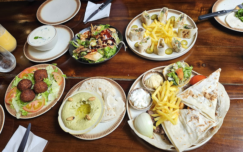 Habibi Halal Lebanese cuisine