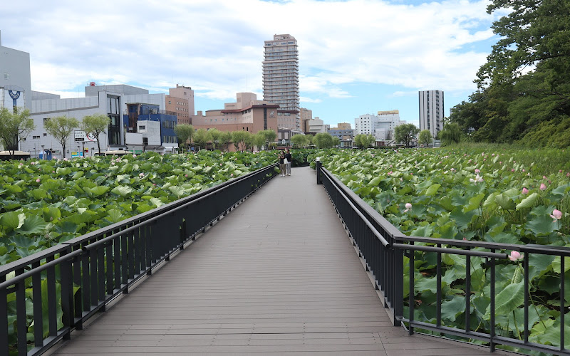 Senshu Park Otemon Gate Moat Promenade