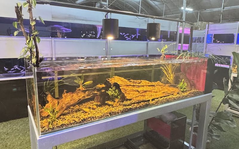 KATSURA AQUARIUM DESIGN SDN. BHD.