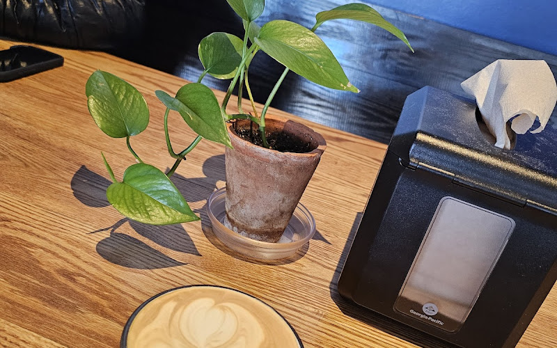 Before and After Brewing