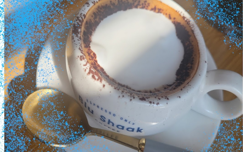 Blu shaak SEJONGNASEONG 블루샥 세종나성점