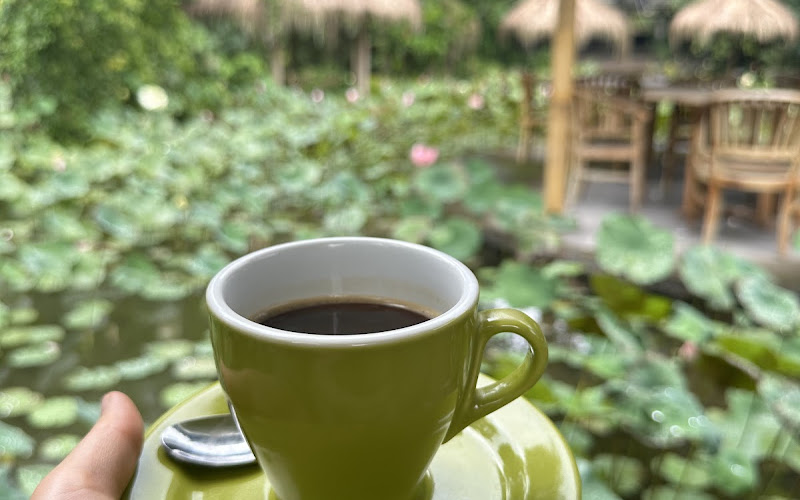 Lotus Coffee Luwak