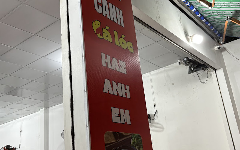 Bánh canh cá lóc chùa nghệ sĩ