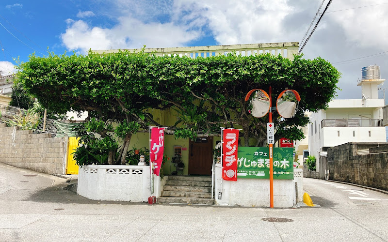 カフェ がじゅまるの木
