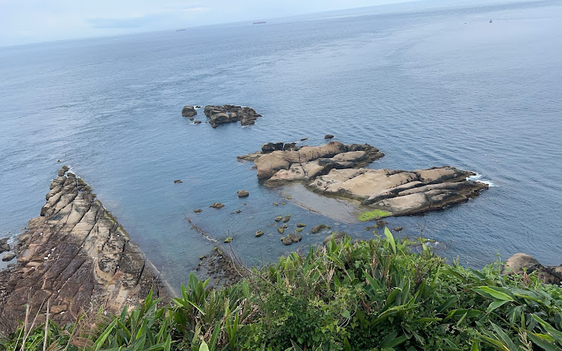 腕骨岩Carpal Bone Rock