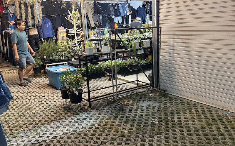 Ramkhamhaeng Night Market