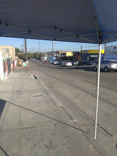 site_photo2