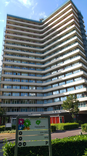site_photo4