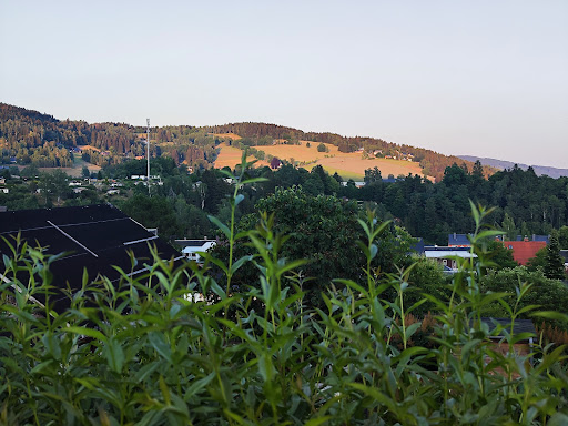 site_photo2