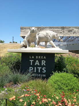 La Brea Tar Pits and Museum by null