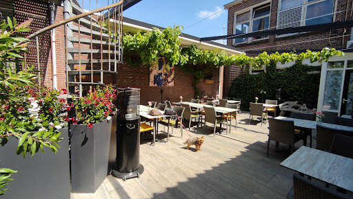 site_photo3