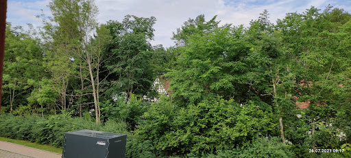 site_photo2