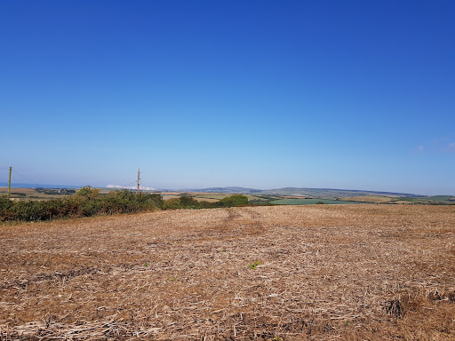 site_photo3