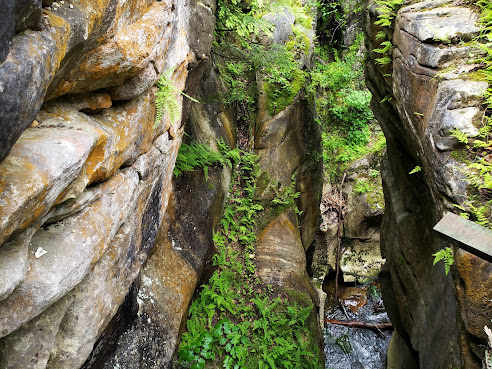 Natural Bridge State Park by null