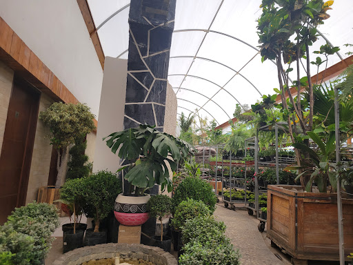site_photo1
