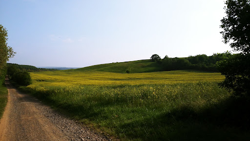 site_photo4