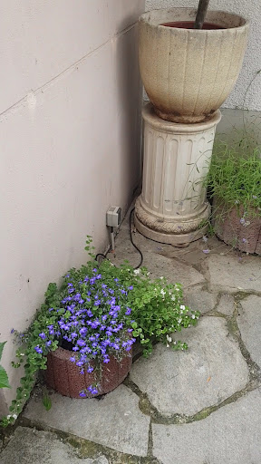 site_photo2