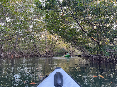 Oleta River State Park by null