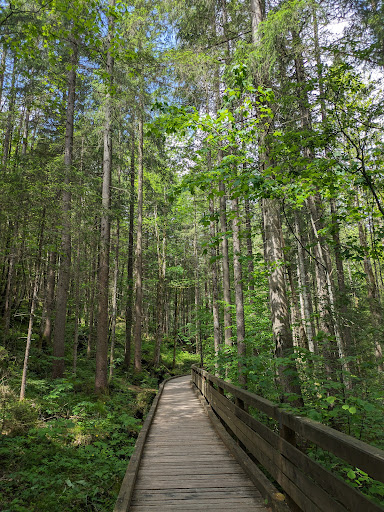 site_photo2
