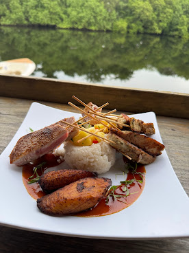 Paradise Tiki of Dania Beach by null