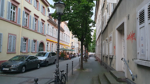 site_photo2