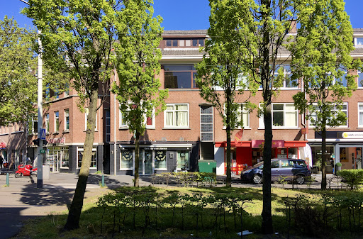 site_photo4