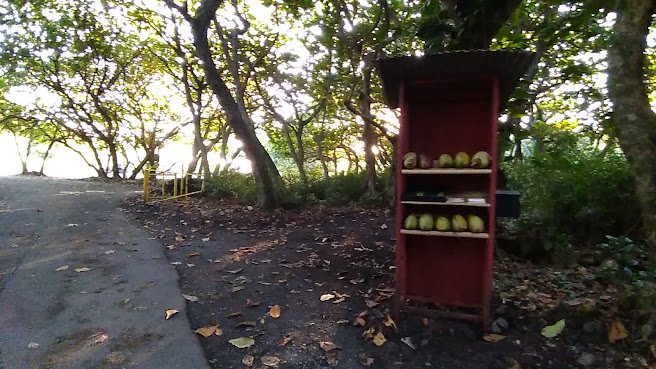Waiʻānapanapa State Park Cabins by null