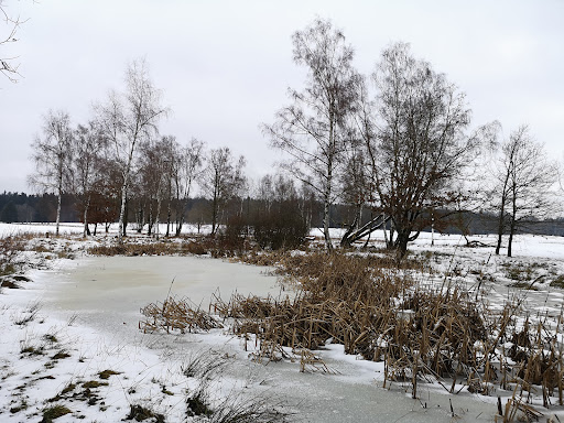 site_photo3