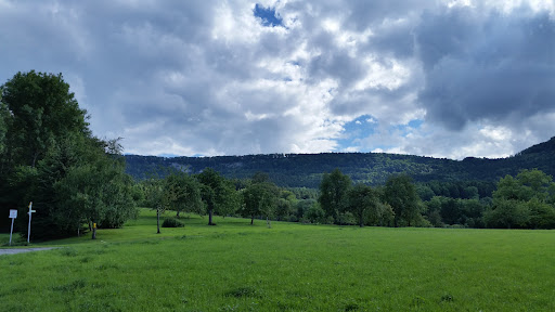 site_photo3