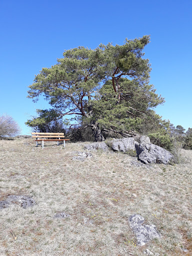 site_photo2