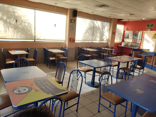 site_photo4