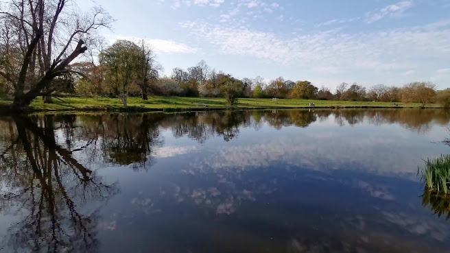 Syon Park by null