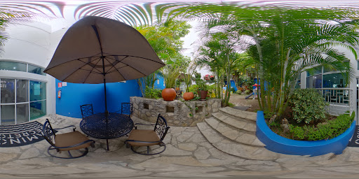 site_photo1