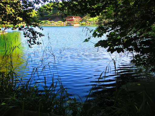 site_photo3