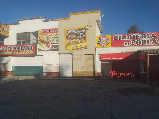 site_photo2