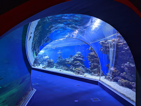 Underwater Observatory Park by null