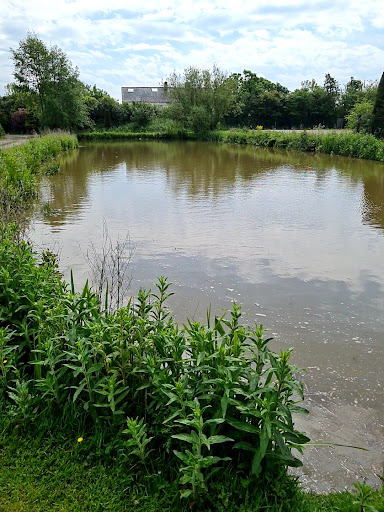 site_photo3