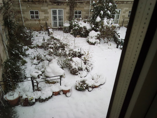 site_photo2