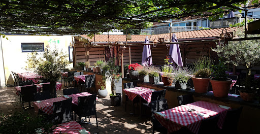 site_photo2