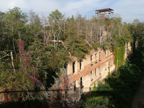 Beelitz-Heilstätten by null