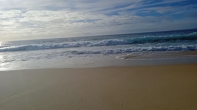 Surf in Comporta by null