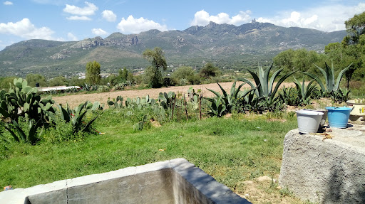 site_photo1