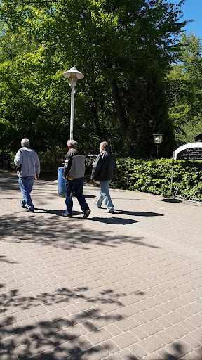 site_photo2