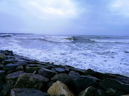 site_photo1