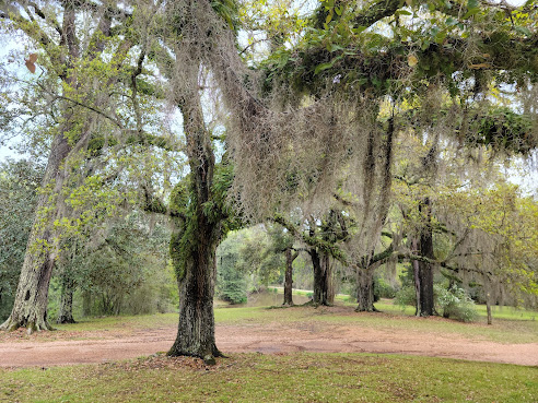 Longwood by null