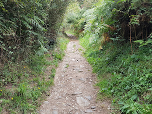 Photo n°8 de Pointe de Barnénez à Plouezoc'h (Péninsule)