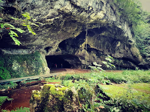 Photo n°24 de Grottes de Sare à Sare (Grotte)