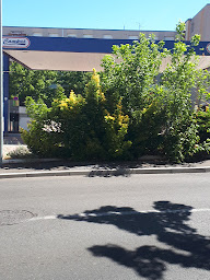 Photo n°2 de Campus à Nîmes (Station-service)