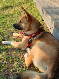 Photo n°50 de Camping Le Pessac | Vielmur-sur-Agout | Camping 3 étoiles Tarn à Vielmur-sur-Agout (Terrain pour camping-cars)